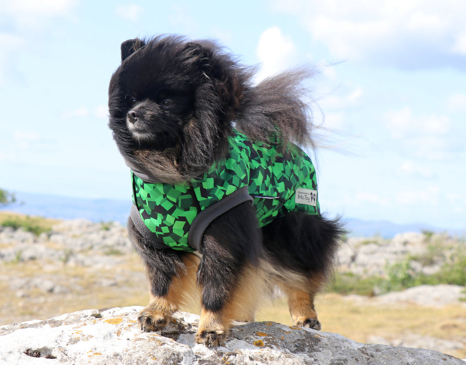 Empire McTog - Microfleece Waterproof Dog Jumper - Back Poppers