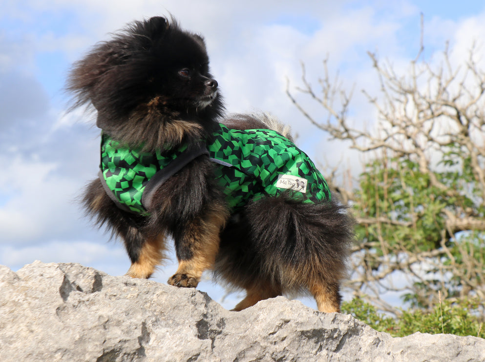 Empire McTog - Microfleece Waterproof Dog Jumper - Back Poppers