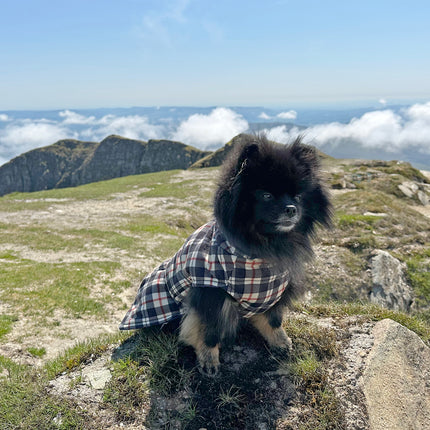 Harris Tartan McTog Drying Coat - Only Sizes 0 & 2 left