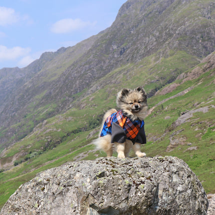 The Highlander McTog Dog Jumper - With Sleeves - Step In Poppers