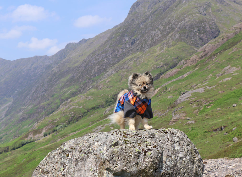 The Highlander McTog - Microfleece Waterproof Dog Jumper - With Sleeves - Step In Poppers