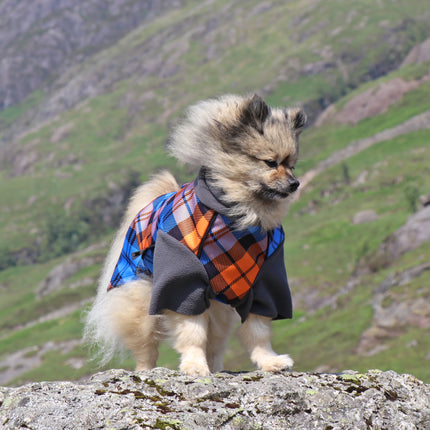 The Highlander McTog Dog Jumper - With Sleeves - Step In Poppers