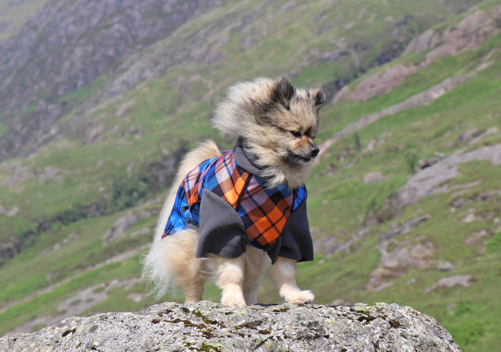 
            
                Load image into Gallery viewer, The Highlander McTog Dog Jumper - With Sleeves - Full Poppers Step In
            
        