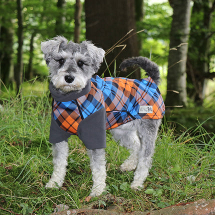 The Highlander McTog Dog Jumper - With Sleeves - Step In Poppers