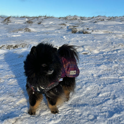 Nevis McTog - Waterproof Microfleece Dog Jumper - Step In Poppers