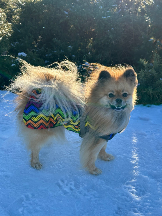 Rave McTog - Microfleece Waterproof Dog Coat - Step In Poppers