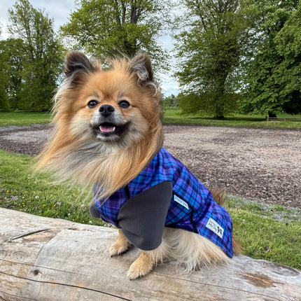 Heather Tide McTog - Microfleece Waterproof Dog Jumper - With Sleeves - Step In Poppers