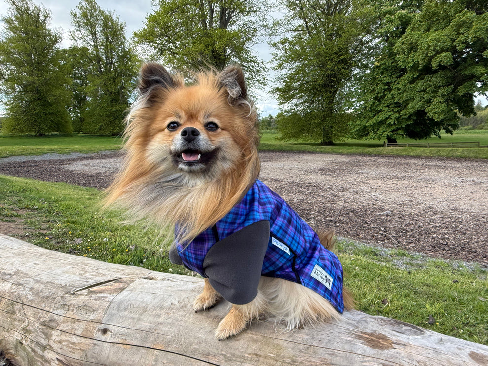 Heather Tide McTog - Microfleece Waterproof Dog Jumper - With Sleeves - Step In Poppers