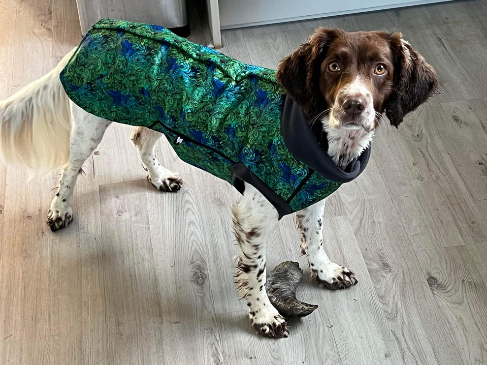 Spellbound McTog - Microfleece Waterproof Jumper - Step In Poppers - Size 3D & 6 left