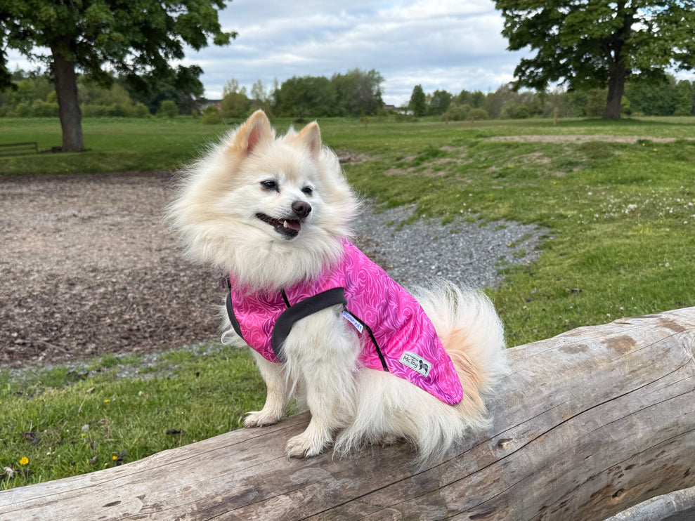 Flamingo Twist McTog - Microfleece Waterproof Dog Jacket - Step In Poppers