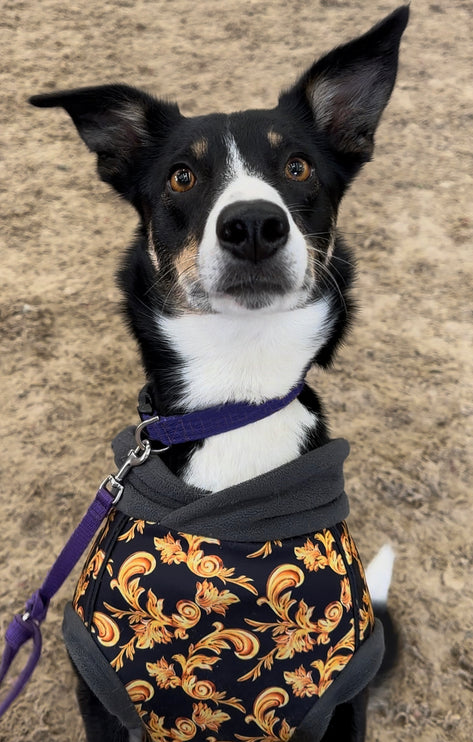 Vogue - Microfleece Waterproof McTog - Sizes 1, 2, 3, 6 left - End of Line Clearance