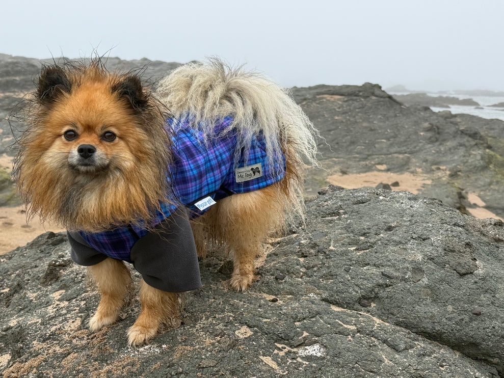 Heather Tide McTog - Microfleece Waterproof Dog Jumper - With Sleeves - Step In Poppers