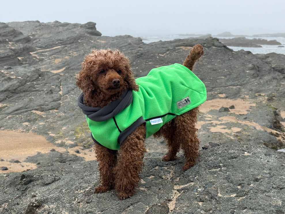 Emerald McTog - Microfleece Waterproof Dog Jumper - Back Poppers