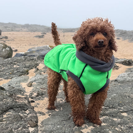 Emerald McTog - Microfleece Waterproof Dog Jumper - Back Poppers