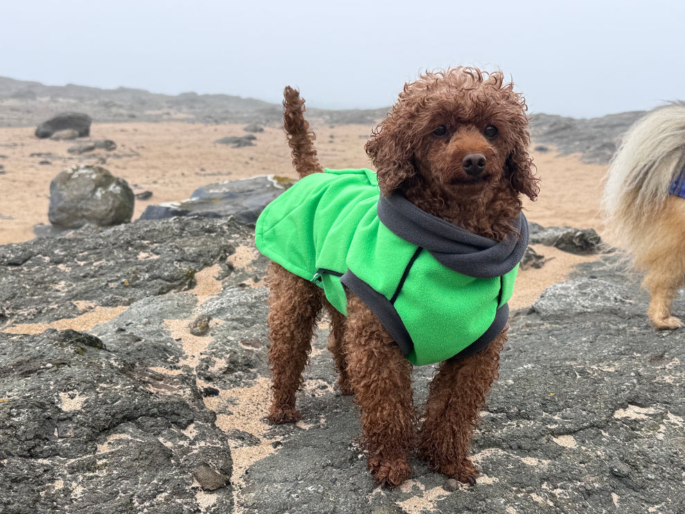 Emerald McTog - Microfleece Waterproof Dog Jumper - Back Poppers