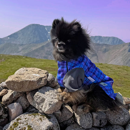 Heather Tide McTog - Microfleece Waterproof Dog Jumper - With Sleeves - Step In Poppers