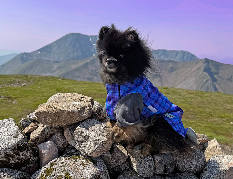 Heather Tide McTog - Microfleece Waterproof Dog Jumper - With Sleeves - Step In Poppers