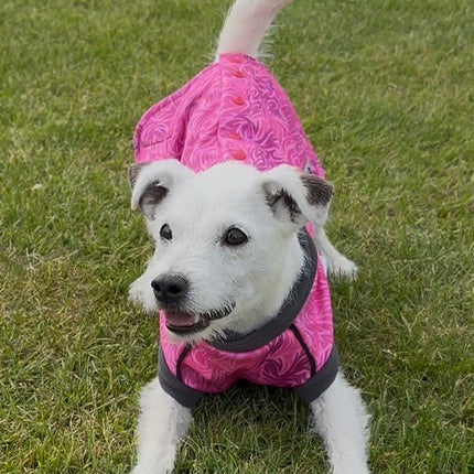Flamingo Twist McTog - Microfleece Waterproof Dog Jacket - Step In Poppers