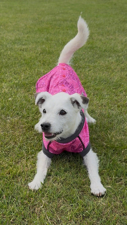 Flamingo Twist McTog - Microfleece Waterproof Dog Jacket - Step In Poppers