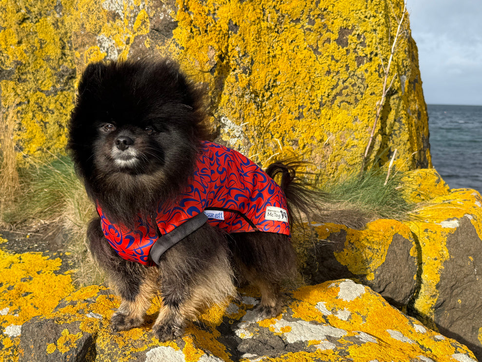 Ember Swirl McTog - Microfleece Waterproof Dog Jacket - Step In Poppers