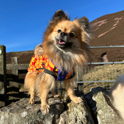 Trailblazer McTog - Waterproof Microfleece Dog Jumper - Step In Poppers