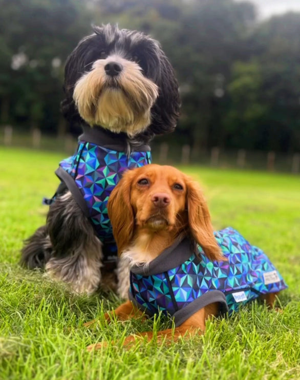 Infinity McTog - Microfleece Waterproof Dog Jumper - Step In Poppers