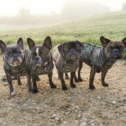 Earth Echo McTog - Microfleece Waterproof Dog Jumper - Step In Poppers