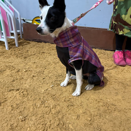 Nevis Polar Fleece - Waterproof Panel McTog Dog Jumper