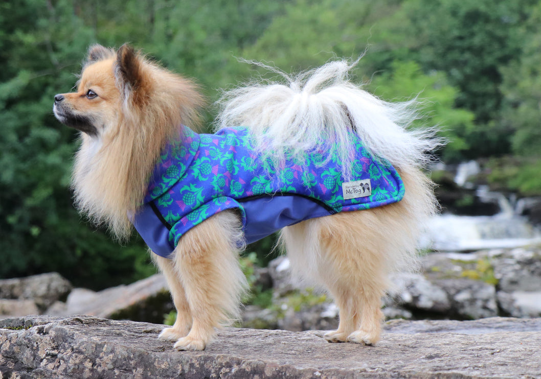 Thistle McTog - Polar Fleece - Waterproof Panel Dog Jumper