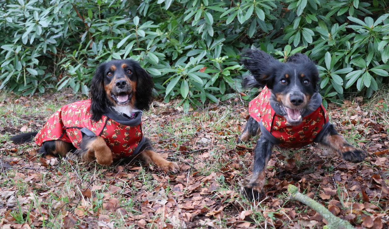 Monkey Business McTog - Microfleece Waterproof Dog Jacket - Step In Poppers