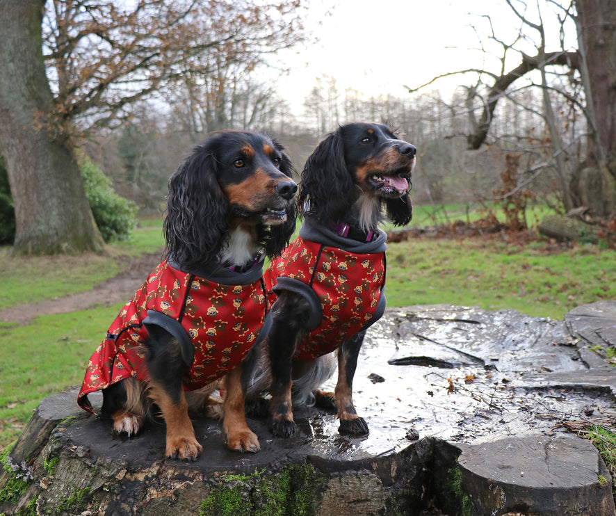 Monkey Business McTog - Microfleece Waterproof Dog Jacket - Step In Poppers