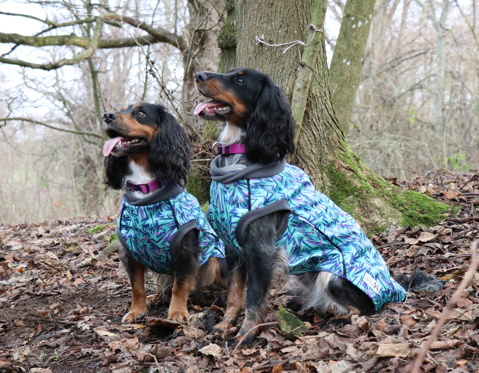 Splash McTog - Microfleece Waterproof Dog Coat - Step In Poppers