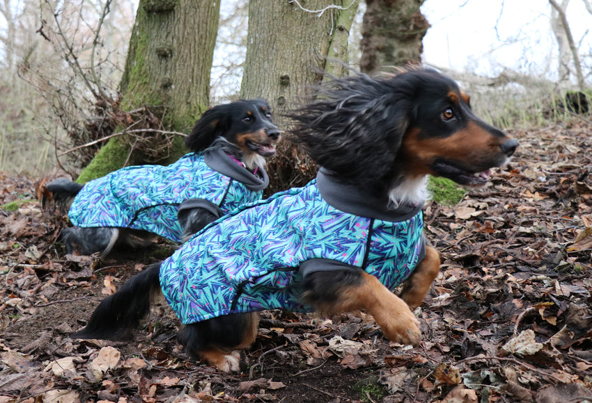 Splash McTog - Microfleece Waterproof Dog Coat - Step In Poppers