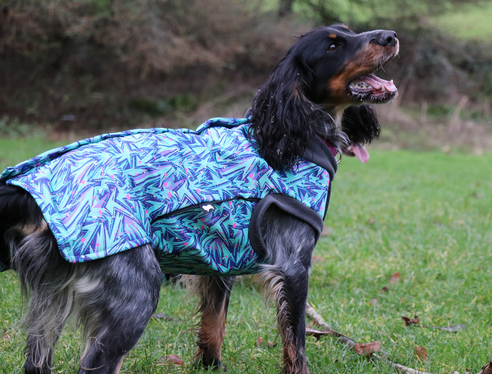 Splash McTog - Microfleece Waterproof Dog Coat - Step In Poppers