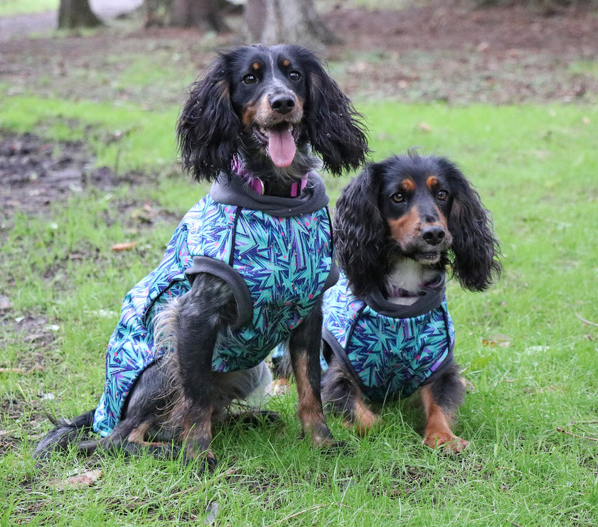 Splash McTog - Microfleece Waterproof Dog Coat - Step In Poppers