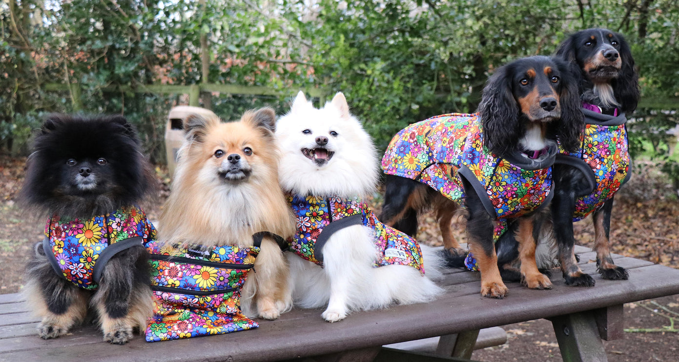 Flower Power McTog - Microfleece Waterproof Dog Jumper - Step In Poppers