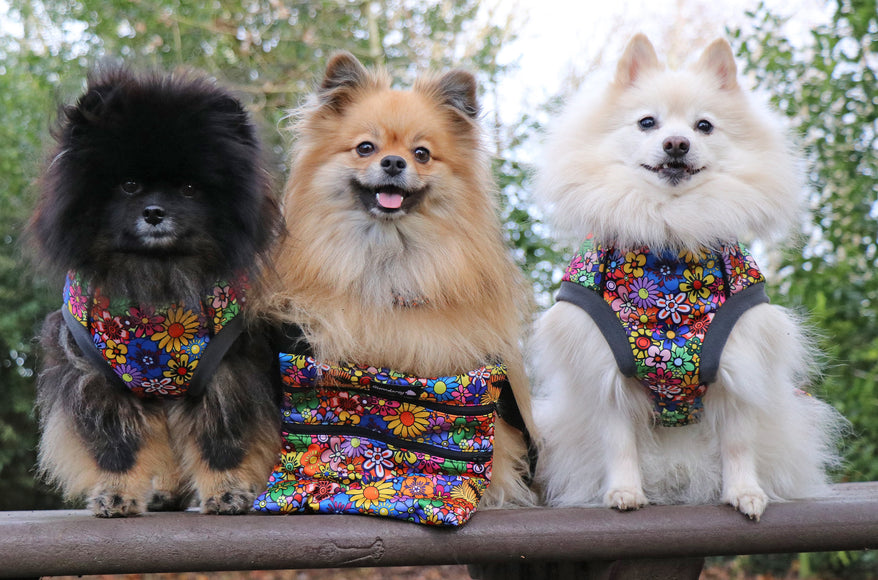 Flower Power McTog - Microfleece Waterproof Dog Jumper - Step In Poppers