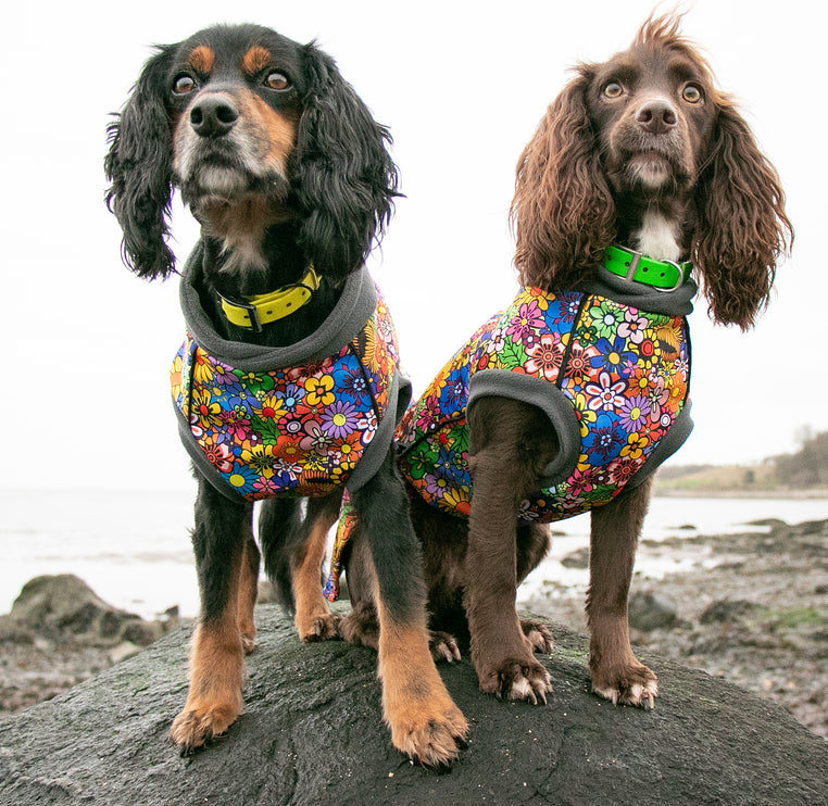 Flower Power McTog - Microfleece Waterproof Dog Jumper - Step In Poppers