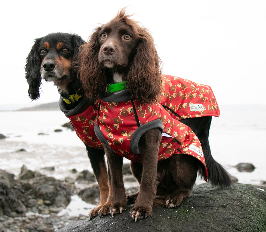 Monkey Business McTog - Microfleece Waterproof Dog Jacket - Step In Poppers