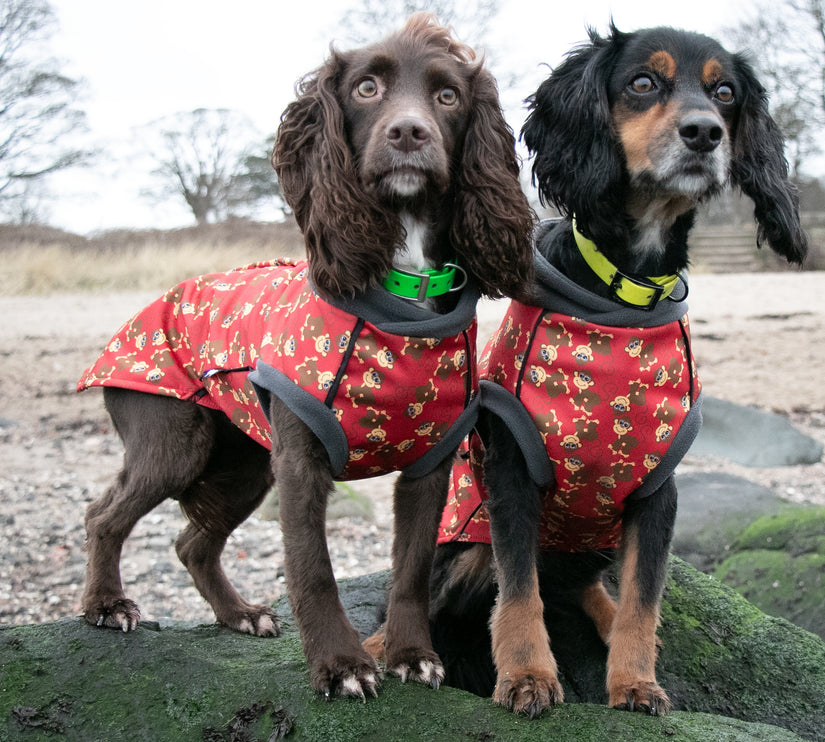 Monkey Business McTog - Microfleece Waterproof Dog Jacket - Step In Poppers