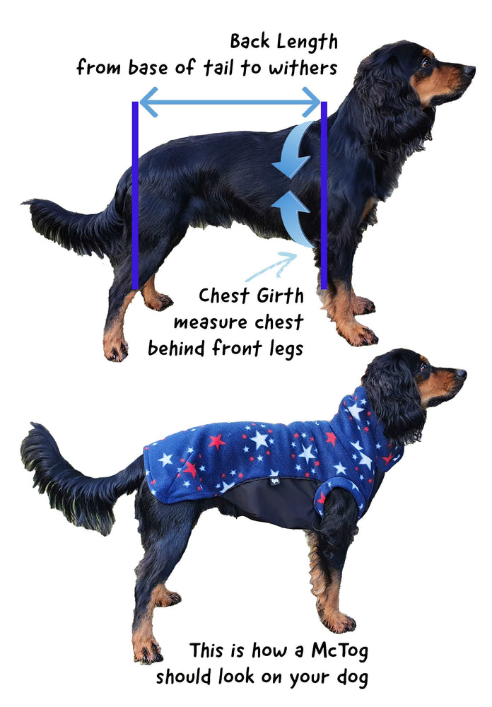 
            
                Load image into Gallery viewer, Starlight Waterproof Microfleece McTog Dog Jumper - No Sleeves - Poppers fastening
            
        