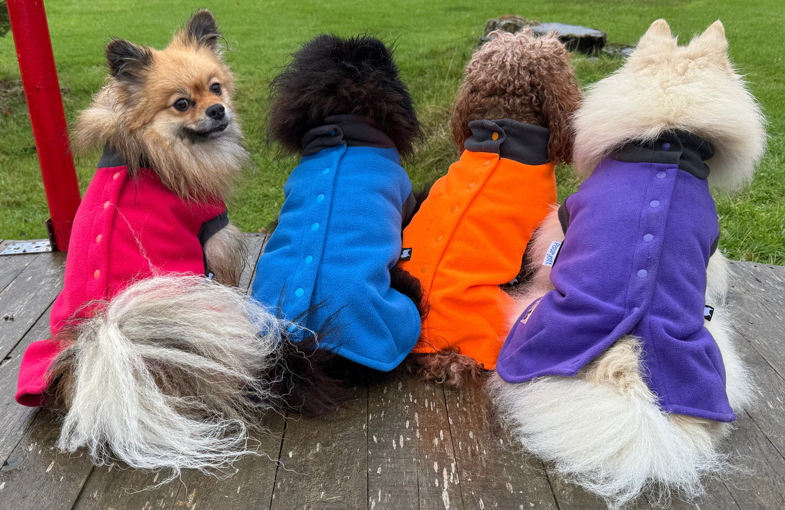 Cobalt Blue McTog - Double Layer Microfleece Waterproof Dog Coat - Step In Poppers