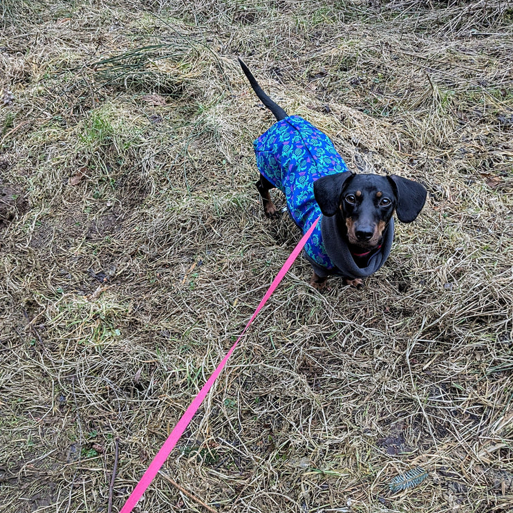 Thistle McTog - Microfleece Waterproof Dog Coat - Back Poppers