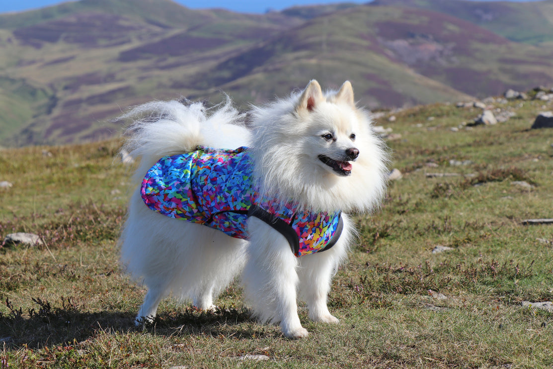 Razzle Dazzle McTog - Microfleece Waterproof Dog Sweater - Step In Poppers