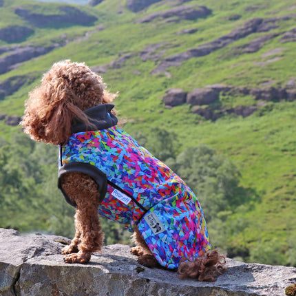 Razzle Dazzle Waterproof Microfleece McTog Dog Jumper - Full Poppers Step In