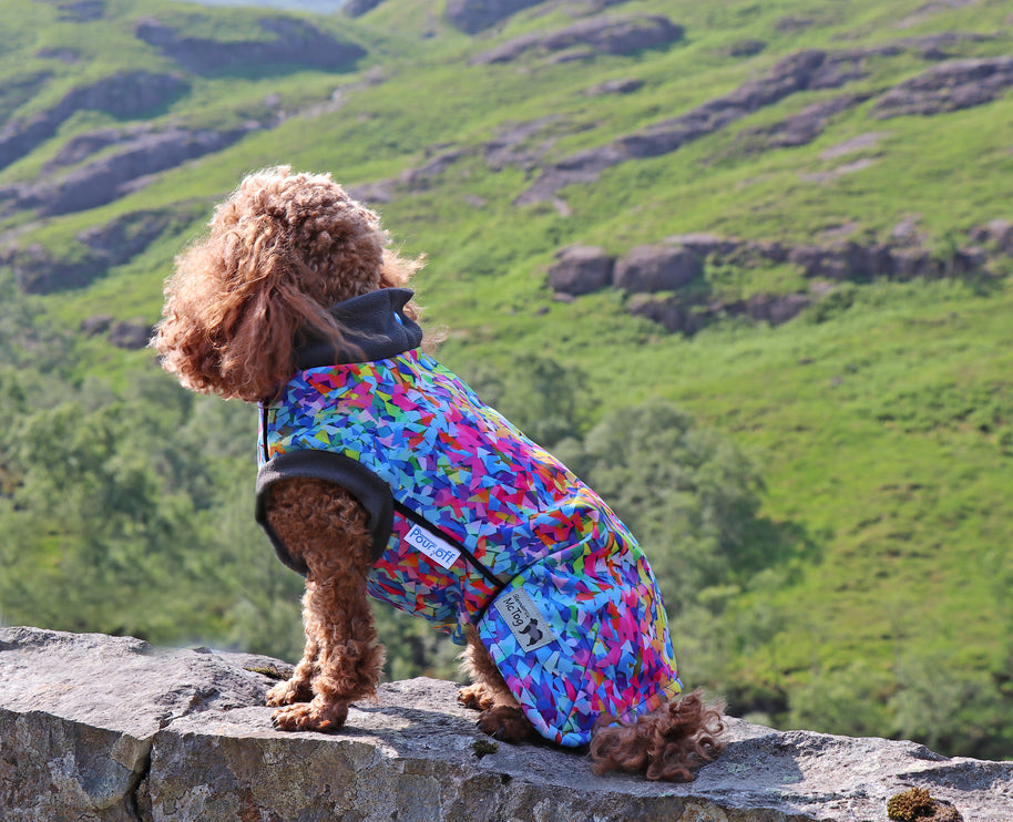 Razzle Dazzle McTog - Waterproof Microfleece Dog Jumper - Step In Poppers
