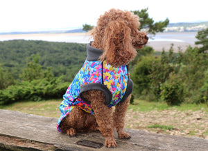
            
                Load image into Gallery viewer, Razzle Dazzle Waterproof Microfleece McTog Dog Jumper - Full Poppers Step In
            
        