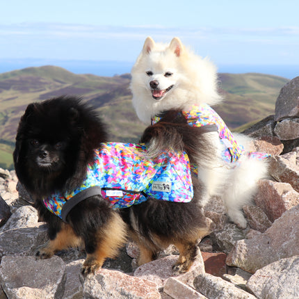Razzle Dazzle McTog - Waterproof Microfleece Dog Jumper - Step In Poppers