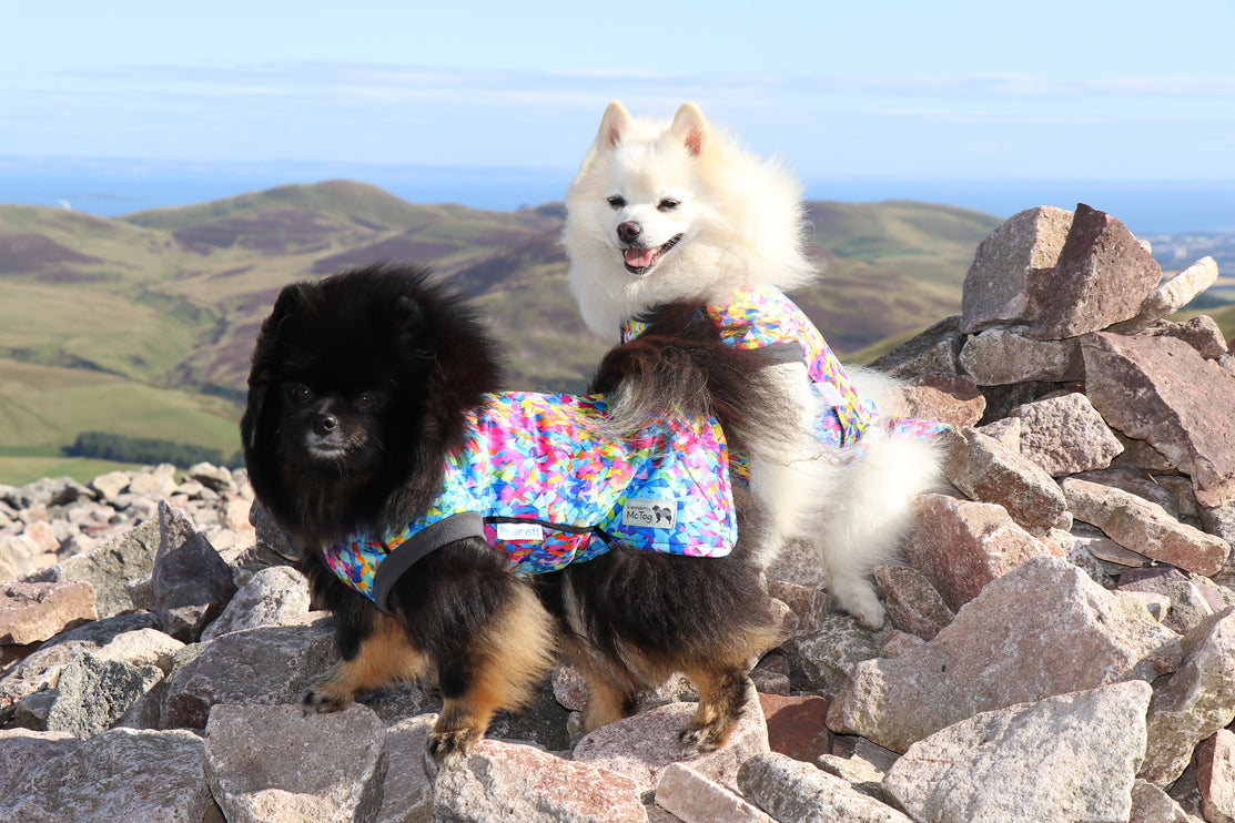 Razzle Dazzle McTog - Microfleece Waterproof Dog Sweater - Step In Poppers