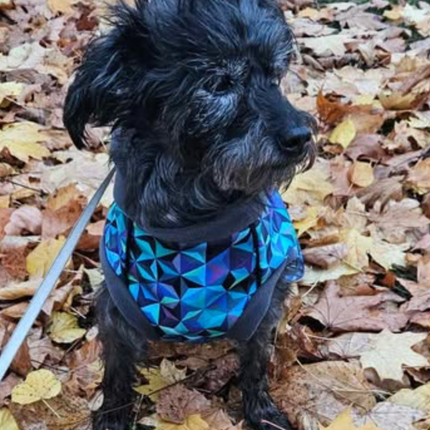 Thistle McTog - Microfleece Waterproof Dog Coat - Back Poppers